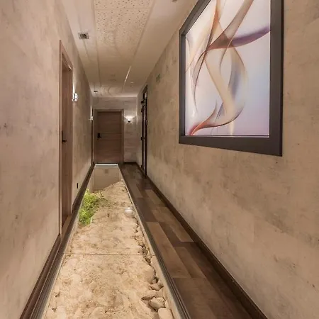 Hotel Neru Con Encanto León
