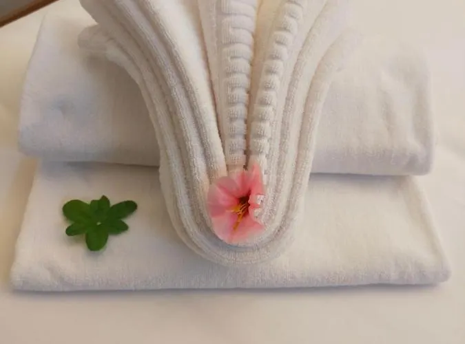 Neru Con Encanto 莱昂