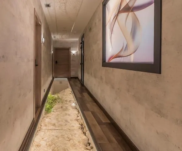 Hotel Neru Con Encanto León